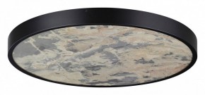 Накладной светильник Odeon Light Bergi 5064/50L в Сысерти - sysert.mebel24.online | фото 3