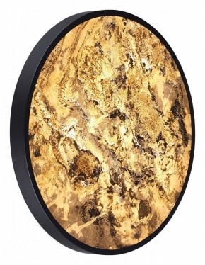 Накладной светильник Odeon Light Bergi 5064/50L в Сысерти - sysert.mebel24.online | фото 5