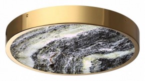 Накладной светильник Odeon Light Bergi 5079/30L в Сысерти - sysert.mebel24.online | фото 3
