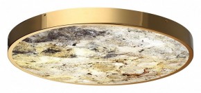 Накладной светильник Odeon Light Bergi 5079/50L в Сысерти - sysert.mebel24.online | фото 5