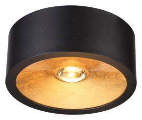 Накладной светильник Odeon Light Glasgow 3878/1CL в Сысерти - sysert.mebel24.online | фото 2
