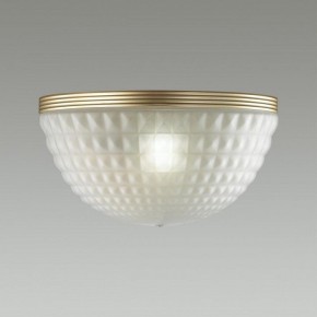 Накладной светильник Odeon Light Malaga 4936/1W в Сысерти - sysert.mebel24.online | фото 2