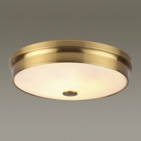 Накладной светильник Odeon Light Marsei 4824/4C в Сысерти - sysert.mebel24.online | фото 2
