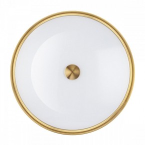 Накладной светильник Odeon Light Marsei 4824/4C в Сысерти - sysert.mebel24.online | фото 3