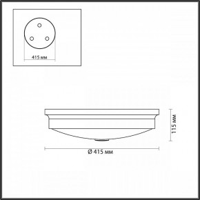 Накладной светильник Odeon Light Marsei 4824/4C в Сысерти - sysert.mebel24.online | фото 4