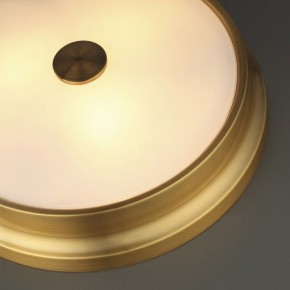 Накладной светильник Odeon Light Marsei 4824/4C в Сысерти - sysert.mebel24.online | фото 5