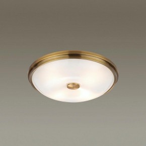 Накладной светильник Odeon Light Pelow 4956/4 в Сысерти - sysert.mebel24.online | фото 2