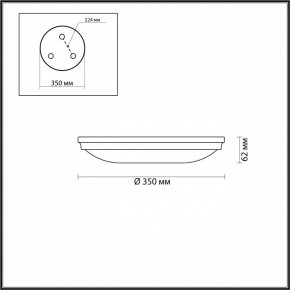 Накладной светильник Odeon Light Pelow 4956/4 в Сысерти - sysert.mebel24.online | фото 3