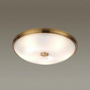 Накладной светильник Odeon Light Pelow 4956/5 в Сысерти - sysert.mebel24.online | фото 2