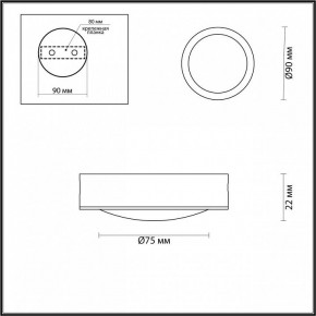 Накладной светильник Odeon Light Reus 4342/7CL в Сысерти - sysert.mebel24.online | фото 4