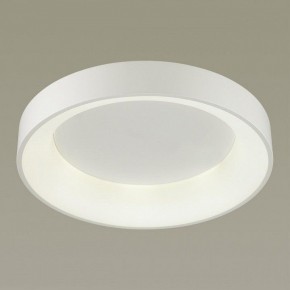 Накладной светильник Odeon Light Sole 4062/50CL в Сысерти - sysert.mebel24.online | фото 2