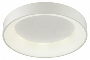 Накладной светильник Odeon Light Sole 4062/50CL в Сысерти - sysert.mebel24.online | фото 3