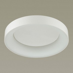 Накладной светильник Odeon Light Sole 4062/50CL в Сысерти - sysert.mebel24.online | фото 4