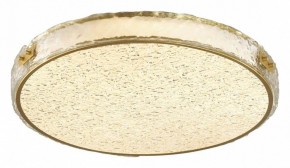 Накладной светильник Sonex Felice 7722/120L в Сысерти - sysert.mebel24.online | фото 3