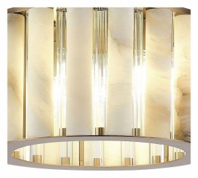 Накладной светильник ST-Luce Delight SL1516.302.06 в Сысерти - sysert.mebel24.online | фото 4
