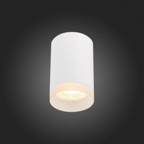 Накладной светильник ST-Luce ST100 ST100.502.01 в Сысерти - sysert.mebel24.online | фото 4