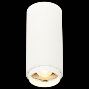 Накладной светильник ST-Luce Zoom ST600.532.10 в Сысерти - sysert.mebel24.online | фото 4