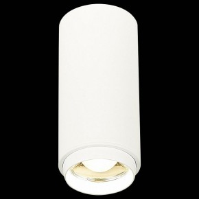 Накладной светильник ST-Luce Zoom ST600.542.10 в Сысерти - sysert.mebel24.online | фото 3