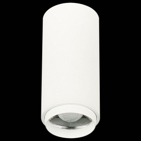 Накладной светильник ST-Luce Zoom ST600.542.10 в Сысерти - sysert.mebel24.online | фото 4