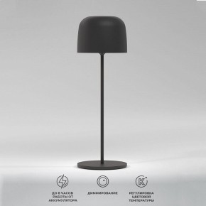 Настольная лампа декоративная Elektrostandard Bitty a069002 в Сысерти - sysert.mebel24.online | фото 2