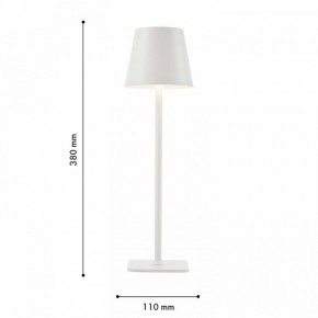 Настольная лампа декоративная F-promo Pyari 4614-1T в Сысерти - sysert.mebel24.online | фото 3