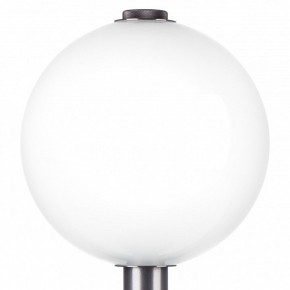 Настольная лампа декоративная Lightstar Colore 805916 в Сысерти - sysert.mebel24.online | фото 6