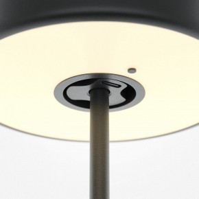 Настольная лампа декоративная Maytoni AI Collaboration MOD229TL-L3B3K2 в Сысерти - sysert.mebel24.online | фото 5