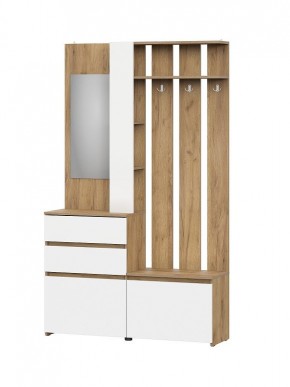 НЕКСТ 1 Вешалка с зеркалом + Шкаф 2-х ств. с ящиками в Сысерти - sysert.mebel24.online | фото 4