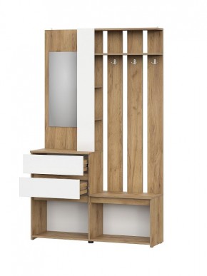 НЕКСТ 1 Вешалка с зеркалом + Шкаф 2-х ств. с ящиками в Сысерти - sysert.mebel24.online | фото 5