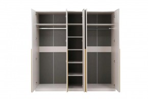 НИКОЛЬ 25 Шкаф 5-ти створчатый в Сысерти - sysert.mebel24.online | фото 3