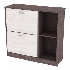 Обувница W29 (ЯАТ-ЯАС) в Сысерти - sysert.mebel24.online | фото