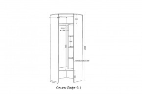 ОЛЬГА-ЛОФТ 9.2 Шкаф угловой с зеркалом в Сысерти - sysert.mebel24.online | фото 3