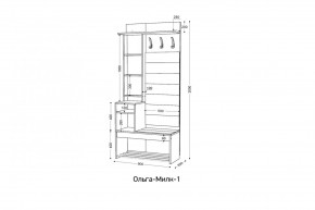 ОЛЬГА-МИЛК 1 Прихожая в Сысерти - sysert.mebel24.online | фото 2