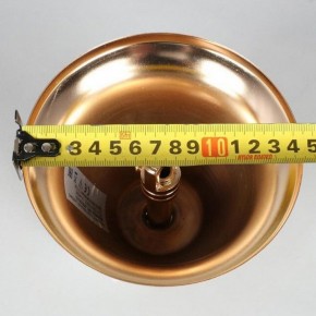 Подвесная люстра Aployt Alessio APL.858.03.31 в Сысерти - sysert.mebel24.online | фото 8