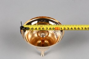 Подвесная люстра Aployt Daniele APL.701.03.12 в Сысерти - sysert.mebel24.online | фото 6