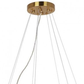 Подвесная люстра Arte Lamp Alya A1053SP-14PB в Сысерти - sysert.mebel24.online | фото 3