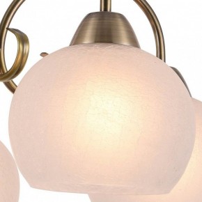 Подвесная люстра Arte Lamp Margo A9317LM-5AB в Сысерти - sysert.mebel24.online | фото 2