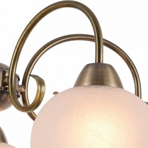 Подвесная люстра Arte Lamp Margo A9317LM-5AB в Сысерти - sysert.mebel24.online | фото 3