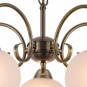 Подвесная люстра Arte Lamp Margo A9317LM-5AB в Сысерти - sysert.mebel24.online | фото 4