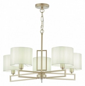 Подвесная люстра EVOLUCE Danae SLE105803-05 в Сысерти - sysert.mebel24.online | фото 2
