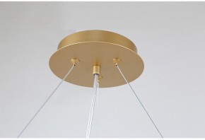 Подвесная люстра Favourite Ginkoa 4080-10P в Сысерти - sysert.mebel24.online | фото 9