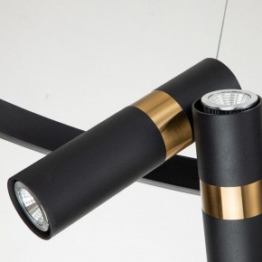 Подвесная люстра Favourite Light point 2997-6P в Сысерти - sysert.mebel24.online | фото 10