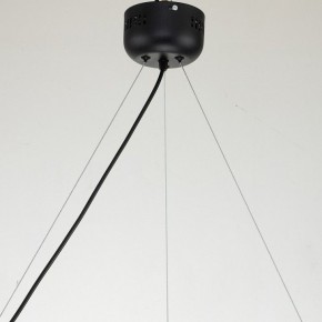 Подвесная люстра Favourite Light point 2997-6P в Сысерти - sysert.mebel24.online | фото 11