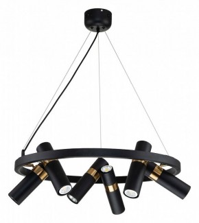 Подвесная люстра Favourite Light point 2997-6P в Сысерти - sysert.mebel24.online | фото 2