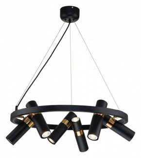 Подвесная люстра Favourite Light point 2997-6P в Сысерти - sysert.mebel24.online | фото 3