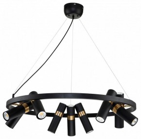 Подвесная люстра Favourite Light point 2997-9P в Сысерти - sysert.mebel24.online | фото 2