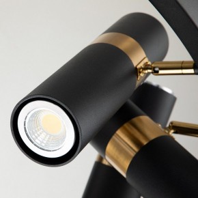Подвесная люстра Favourite Light point 2997-9P в Сысерти - sysert.mebel24.online | фото 5