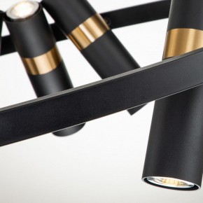 Подвесная люстра Favourite Light point 2997-9P в Сысерти - sysert.mebel24.online | фото 9