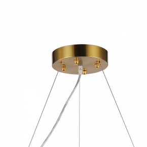 Подвесная люстра Favourite Magnitudo 2206-12P в Сысерти - sysert.mebel24.online | фото 7