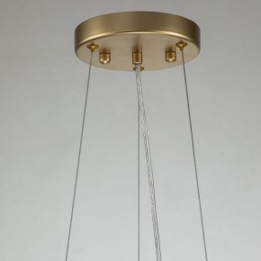 Подвесная люстра Favourite Rays 4058-14P в Сысерти - sysert.mebel24.online | фото 11